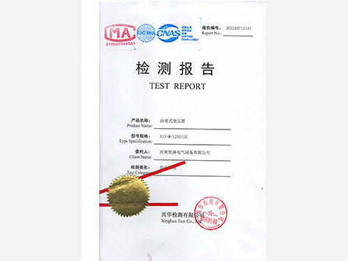 ͽʽѹ鱨